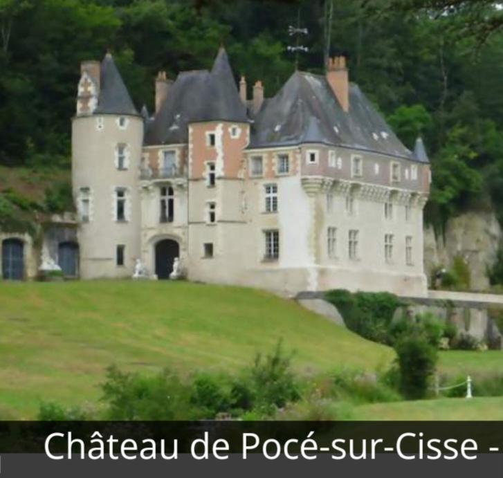 La Maison Aux Iris Pocé-sur-Cisse Exterior foto