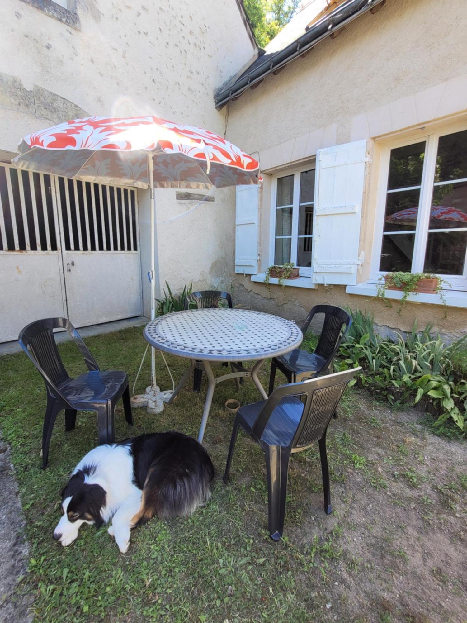La Maison Aux Iris Pocé-sur-Cisse Exterior foto